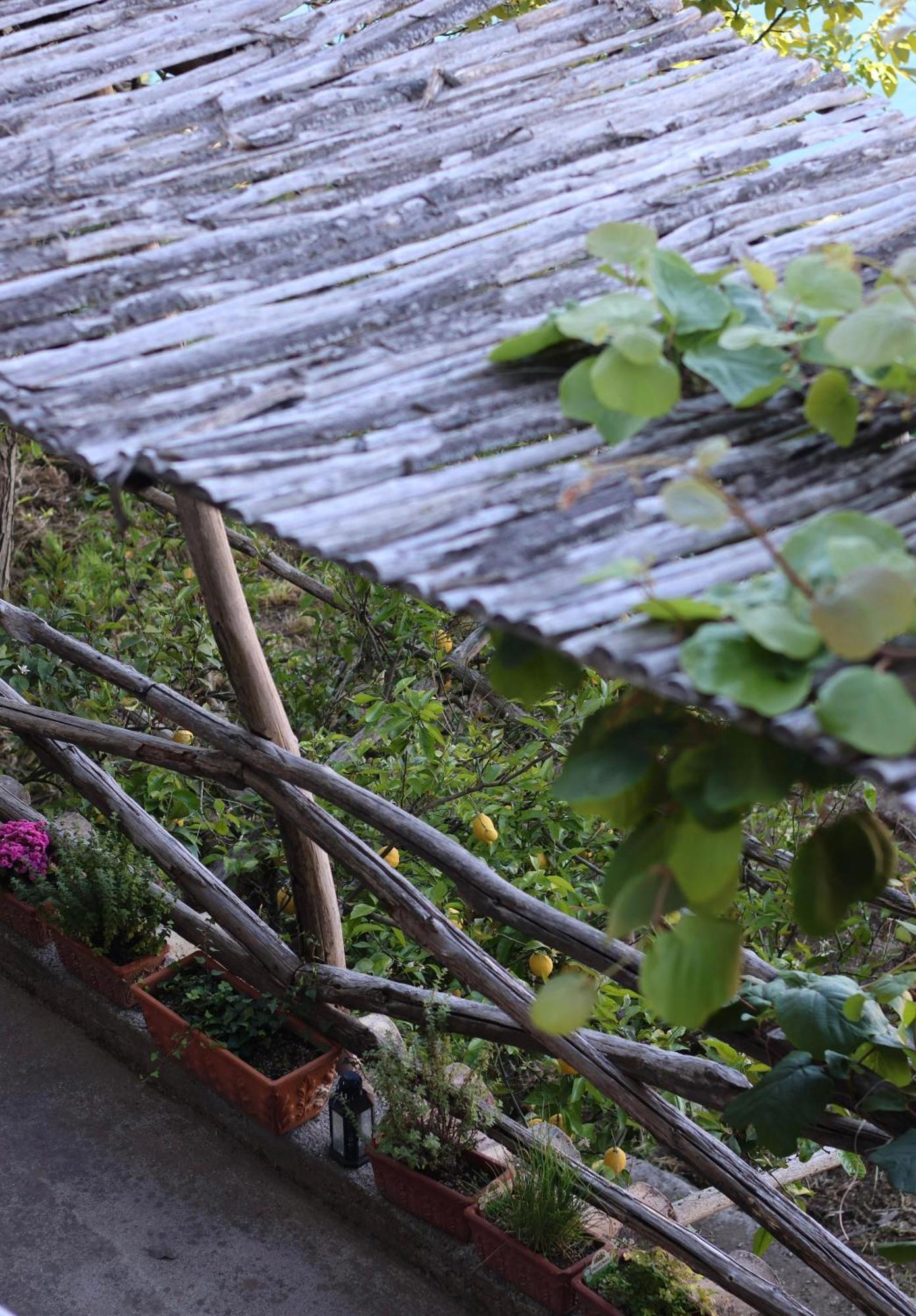 Colle Dell'Ara Bed & Breakfast Positano Luaran gambar